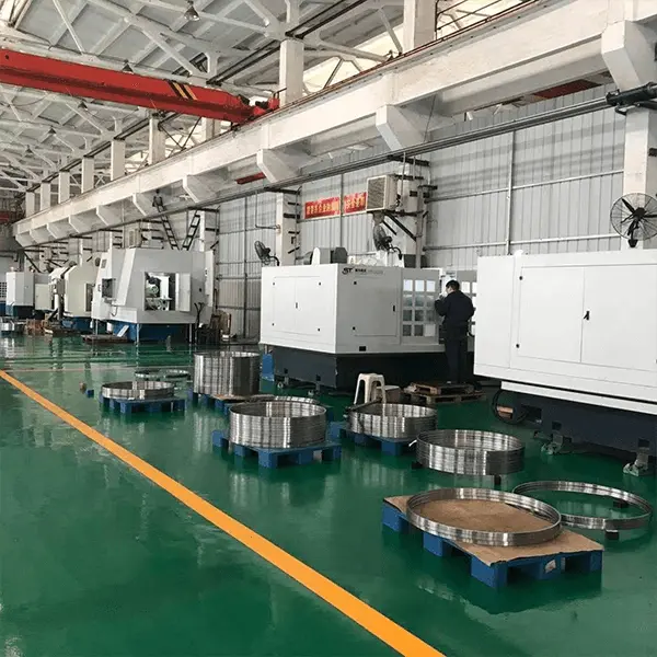 CT-bearing-2 CT Bearing-2