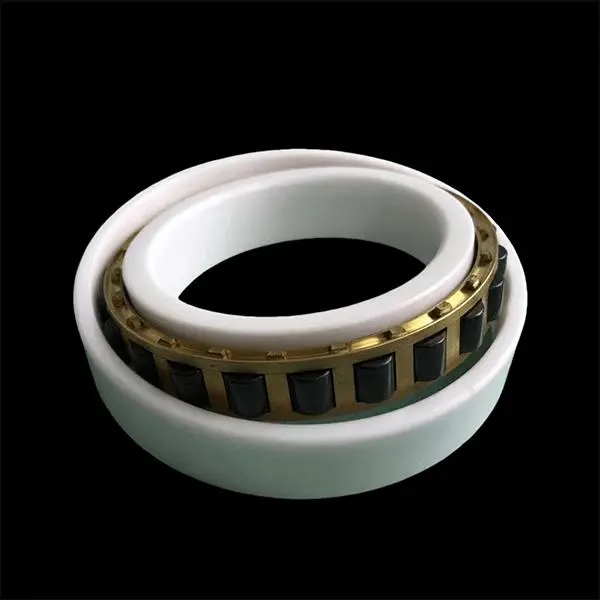 Ceramic-cylindrical-roller-bearing Ceramic cylindrical roller bearing ZMS